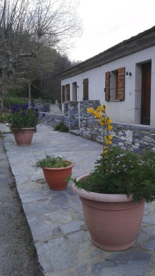 Gite La Fontaine Corse Loreto-di-Casinca Екстер'єр фото